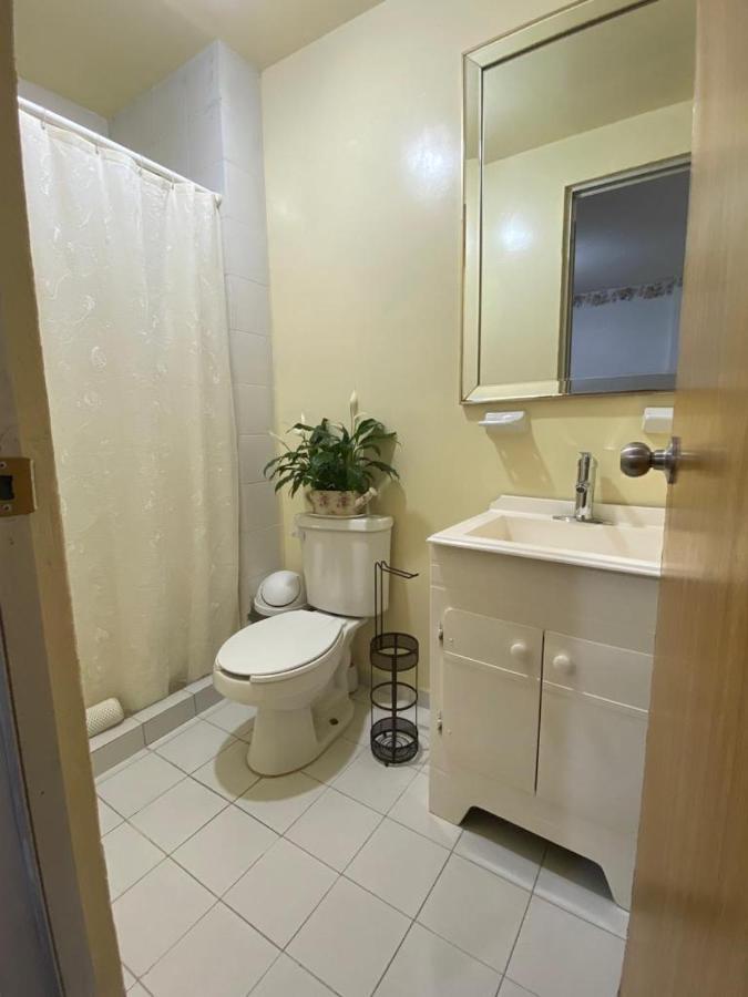 מקסיקו סיטי Normalsuite מראה חיצוני תמונה